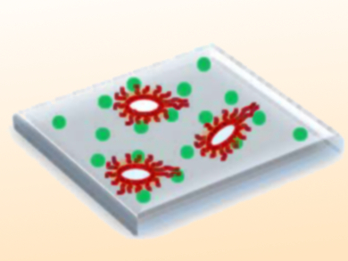 Antimicrobial Films with Modified Chitosan