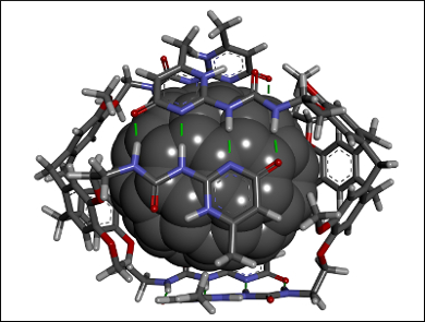 Encapsulated Fullerenes