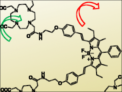 Multifunctional Monomolecular Imaging Probe