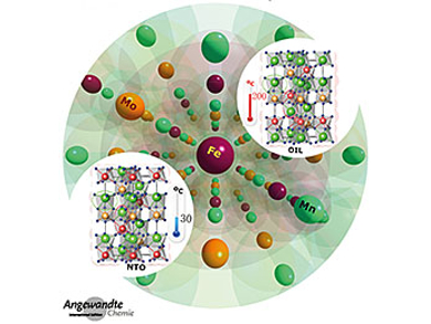 Angewandte Chemie 34/2016: New Tricks