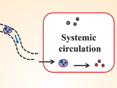 Enhancing the Bioavailability of Drugs