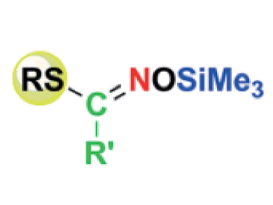 One-Step Synthesis of N-Trimethylsiloxy Alkyl Imidothioates