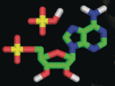 How Did Phosphate Get Into RNA?