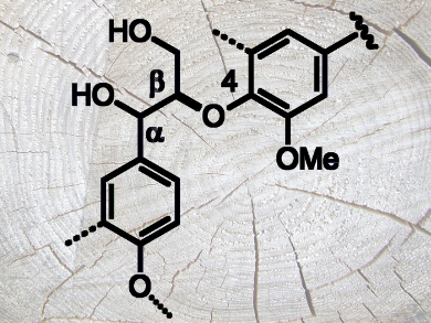 Synthesis of Lignin Model Compounds