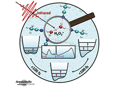 Angewandte Chemie 36/2016: Directing Chemistry