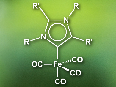 Imine Reduction Using Iron Catalysts