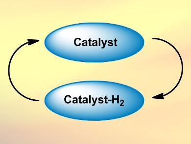 What is Borrowing Hydrogen Catalysis?