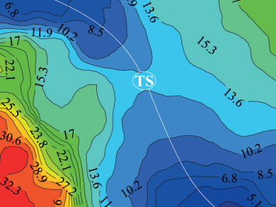 Relativistic Effects in Enzymes