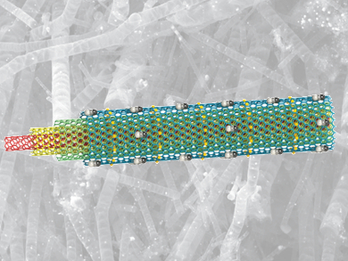 Graphene Tubes for Catalysis