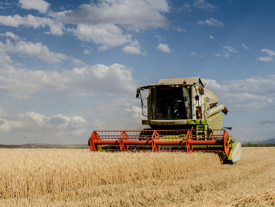 Bayer Raises Offer for Monsanto