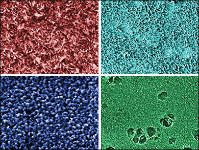 Hydrogel Films for Tissue Regeneration