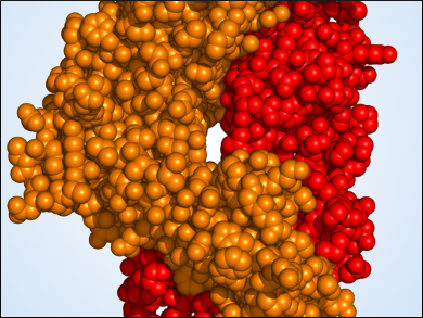 Flow Cytometry-Based Immunological Assay