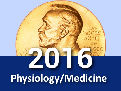 Nobel Prize in Physiology or Medicine 2016