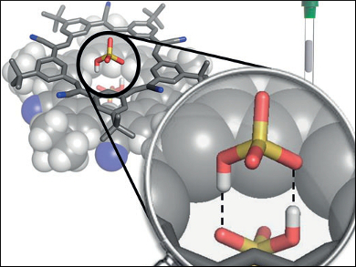 Bisulfate Anion Dimers