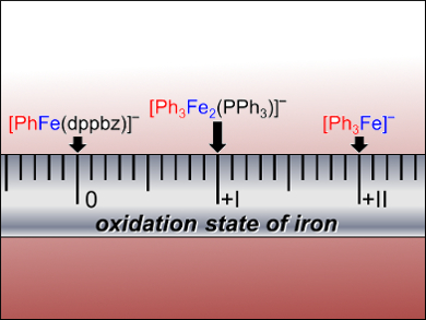 Iron Catalysts Up Close