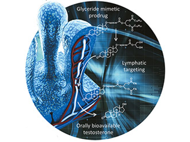 Angewandte Chemie 44/2016: New Paradigms