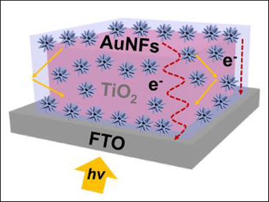 Gold Nanoflower Box for Solar Cells