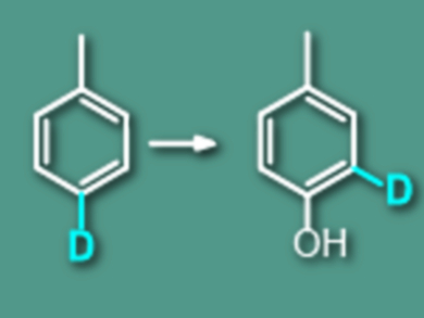 Hydroxylation Mechanism of Aromatics