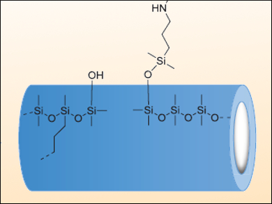 Antibacterial Coating for Medical Devices