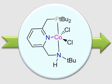 Cobalt-Catalyzed Pyrrole Synthesis