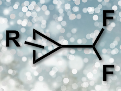 One Step to Difluoromethyl Cyclopropanes