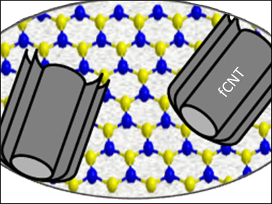 Metal-Free Electrocatalyst