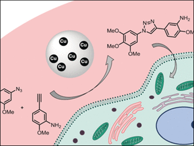 Implantable Catalyst Against Cancer