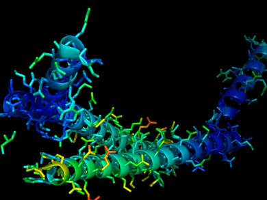 Synthesizing Selenoproteins