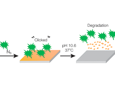 Backbone-Degradable Polymers