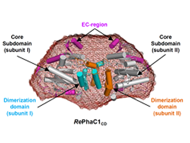 A Step Closer Toward Bioplastic