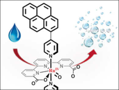 Molecular Anode for Artificial Photosynthesis