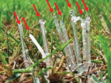 Toward an Artificial Lawn for Energy Harvesting