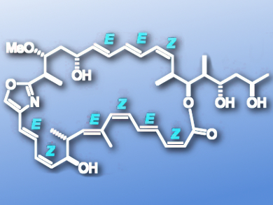 Total Synthesis of Chivosazole F