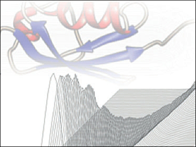 Enhanced NMR Signals for Proteins