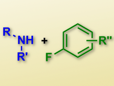 Base-Controlled N-Arylation of Amines