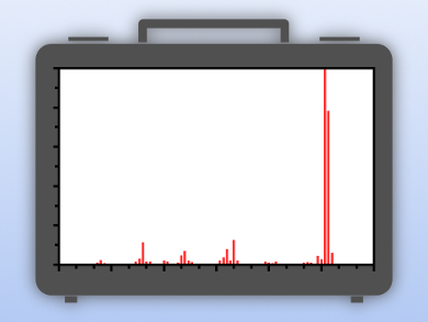 Portable Mass Spectrometer