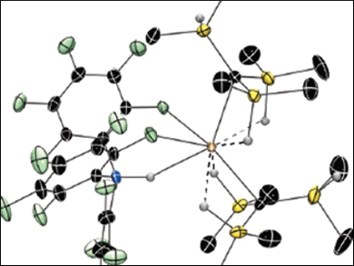 Hydrosilylation Catalysts