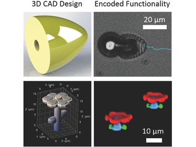 3D Micromaterials with Programmable Chemistries