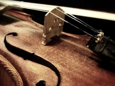 Mystery of the Stradivari