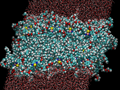 Reactions Inside Of Bubbles