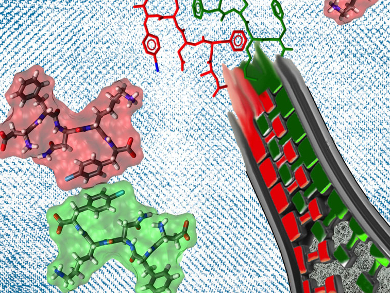 Amyloids in Focus