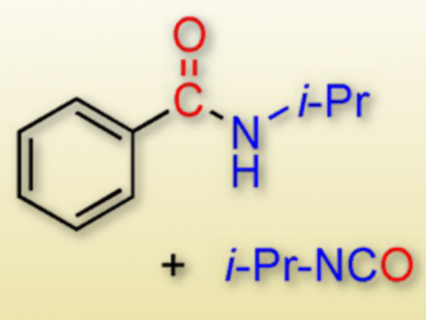 Palladium-Catalyzed Aminocarbonylation