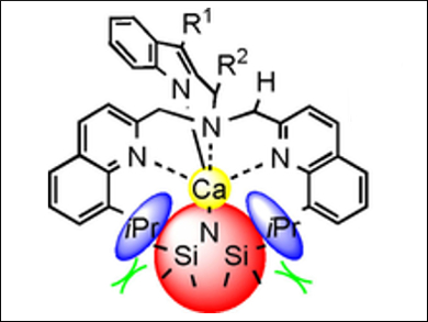 Calcium-Mediated C–N Bond Cleavage