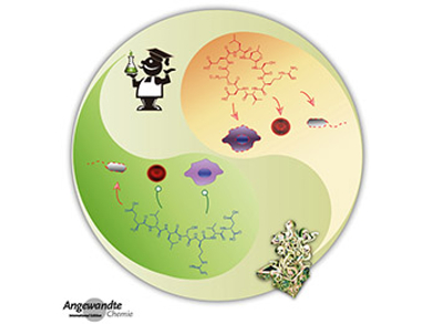 Angewandte Chemie 6/2017: Promotion