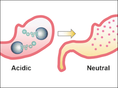 Micromotors for Your Stomach