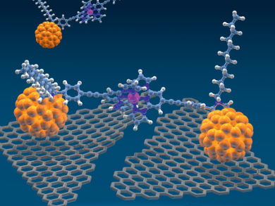 Magnetic Complexes with Fullerene Anchors