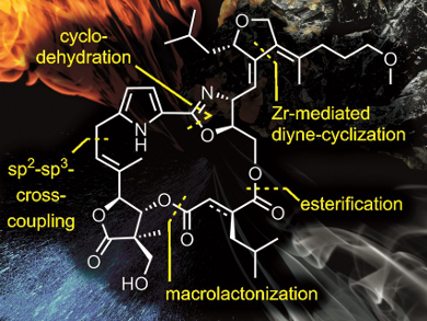 Total Synthesis of Antifungals