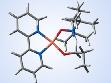 Mechanism of the Copper/TEMPO Alcohol Oxidation