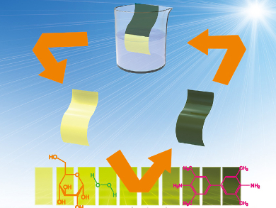 Chemical Test Paper from Core/Shell Nanofibers