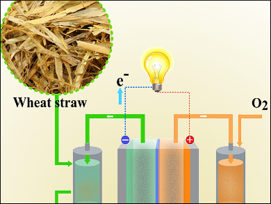 Wheat Straw Goes with the Flow to Make Electricity